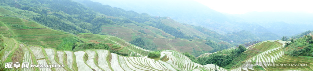 龙脊梯田