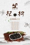 黑枸杞