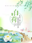 清雅诗意白荷荷塘海报设计