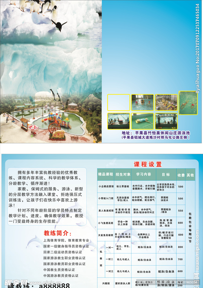 畅想游泳传单