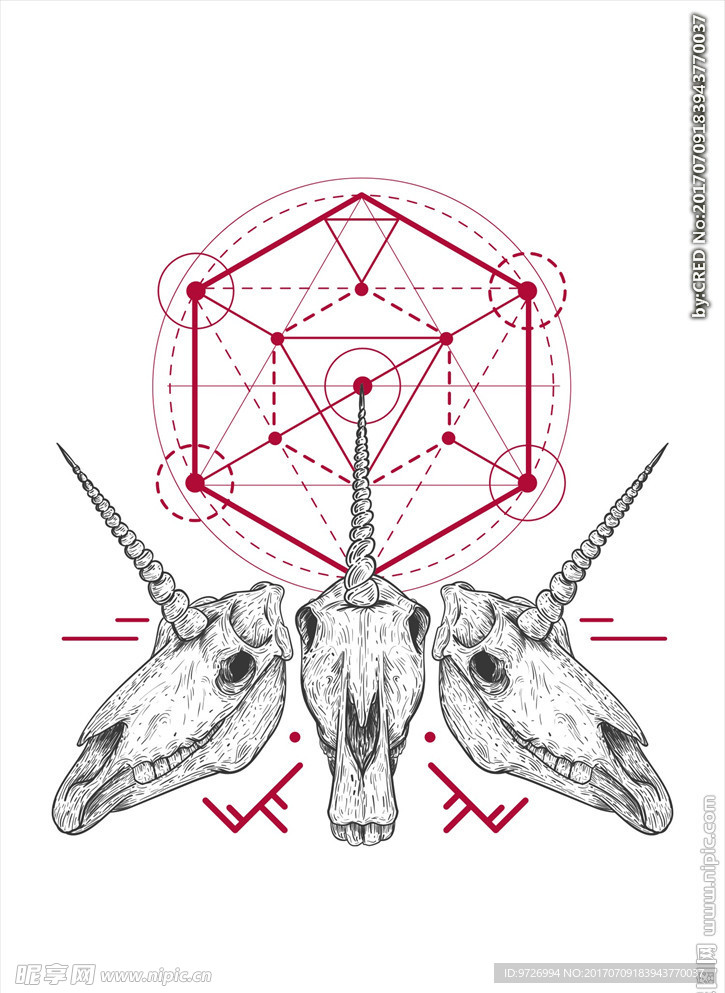 塔罗牌图案独角兽骷髅矢量图