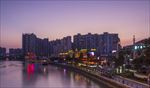 戛纳湾夜色