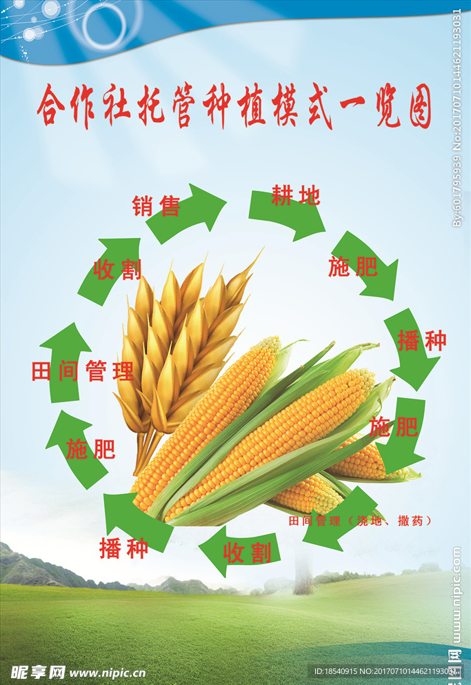 合作社托管