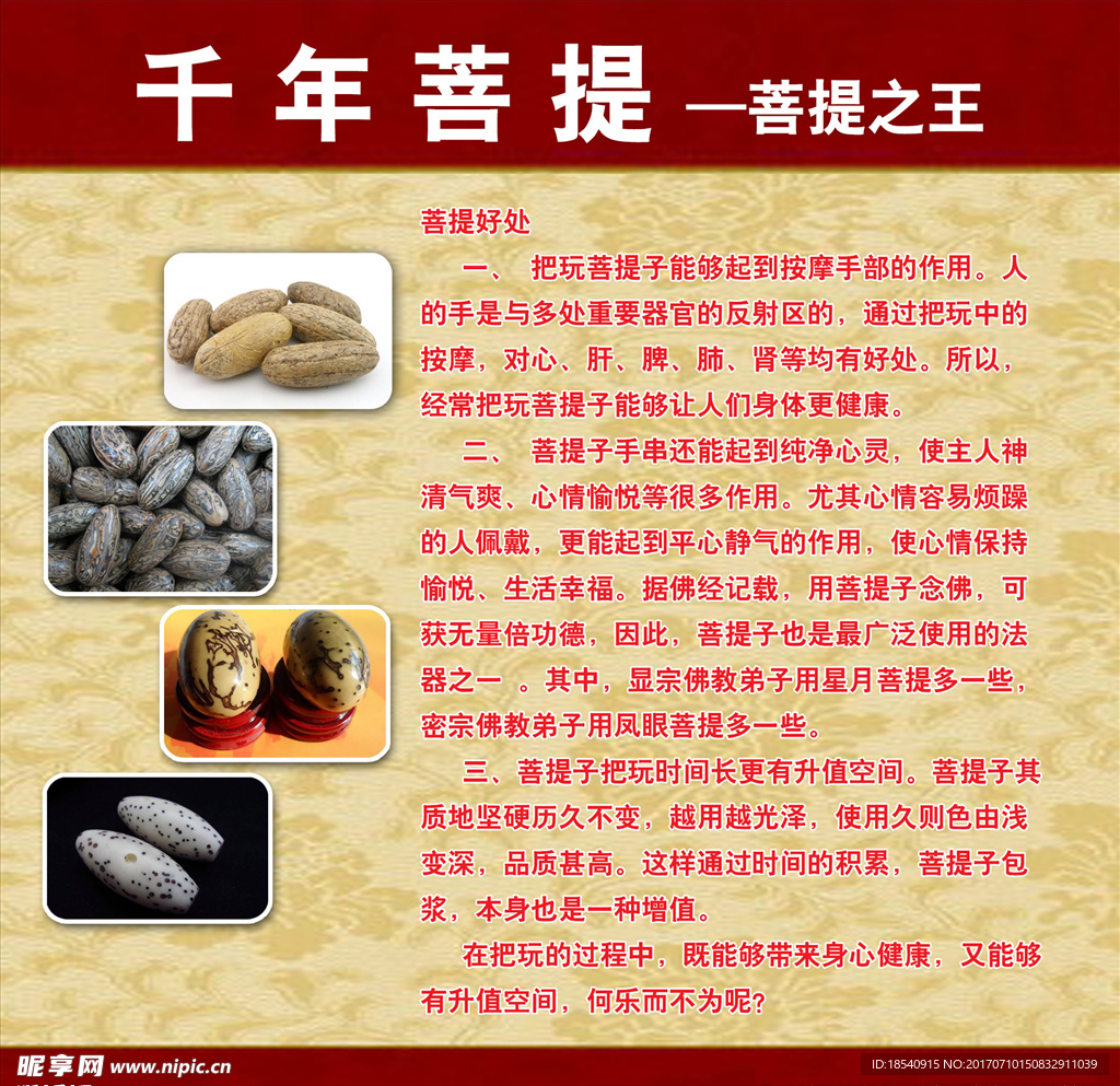 菩提