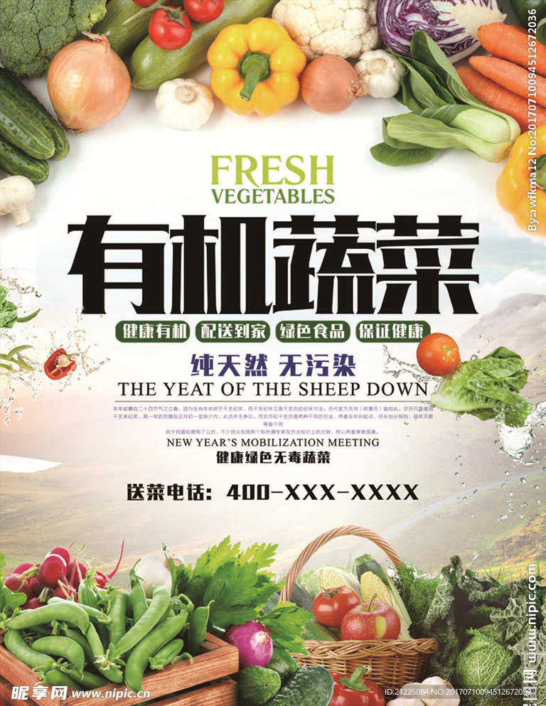 有机蔬菜宣传海报