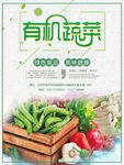 绿色有机蔬菜海报