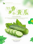 蔬菜海报黄瓜蔬菜海报设计