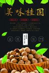 桂圆
