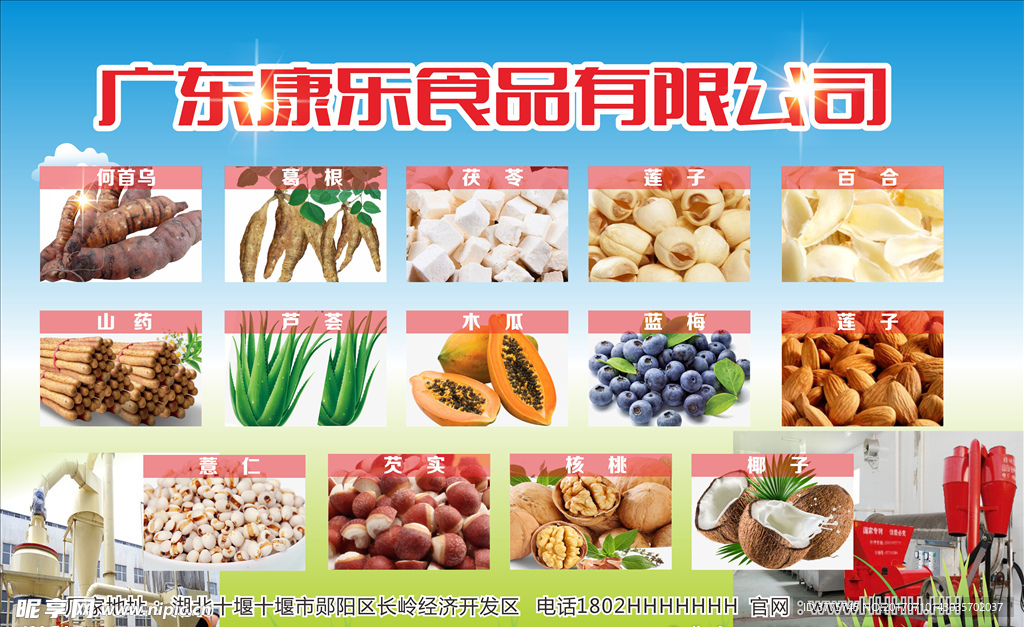 大型食品展会何首乌山药核桃莲子