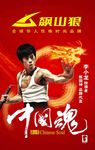 中国功夫海报