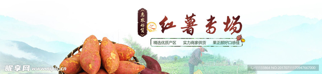 红薯专题