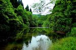 山清水秀