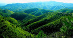 山峦
