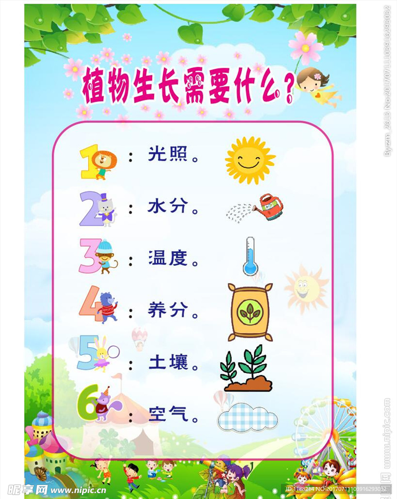 植物生长