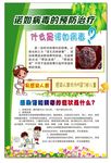 诺如病毒