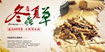 冬虫夏草药材海报