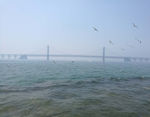 大连海边