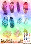 水彩手绘羽毛