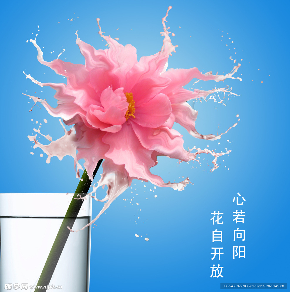 牛奶花