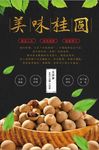 美味桂圆海报系列