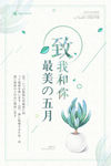 五月海报 夏日海报