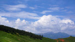美山