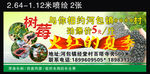 桑葚