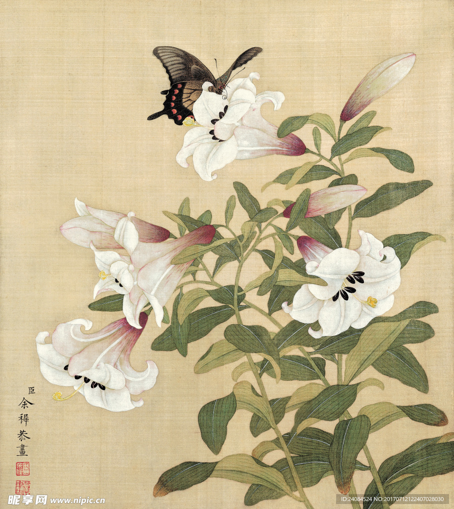 工笔花鸟 国画 清代 余稚