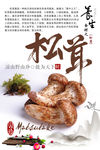 松茸海报设计