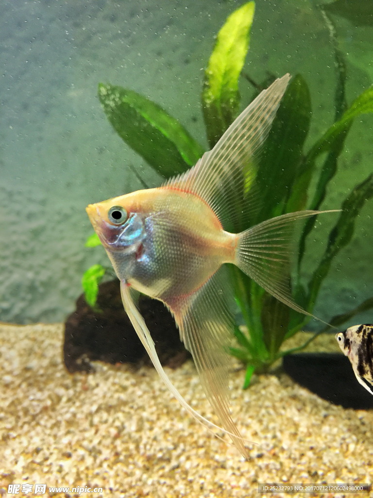 水族馆观赏鱼
