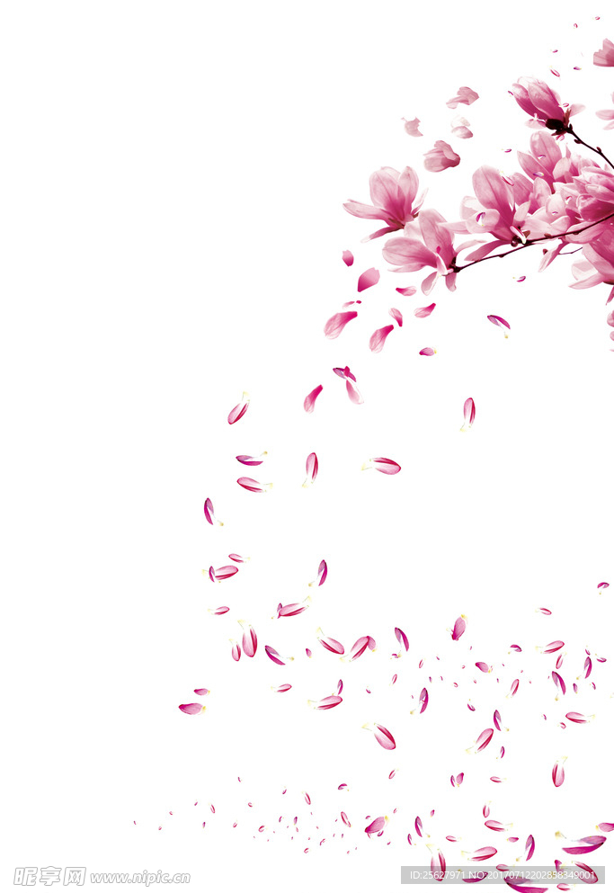 花瓣