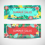 花卉banner