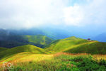 青山如画