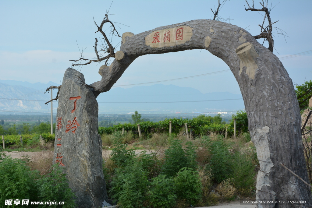 采摘园