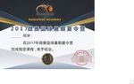 篮球训练营结业证书