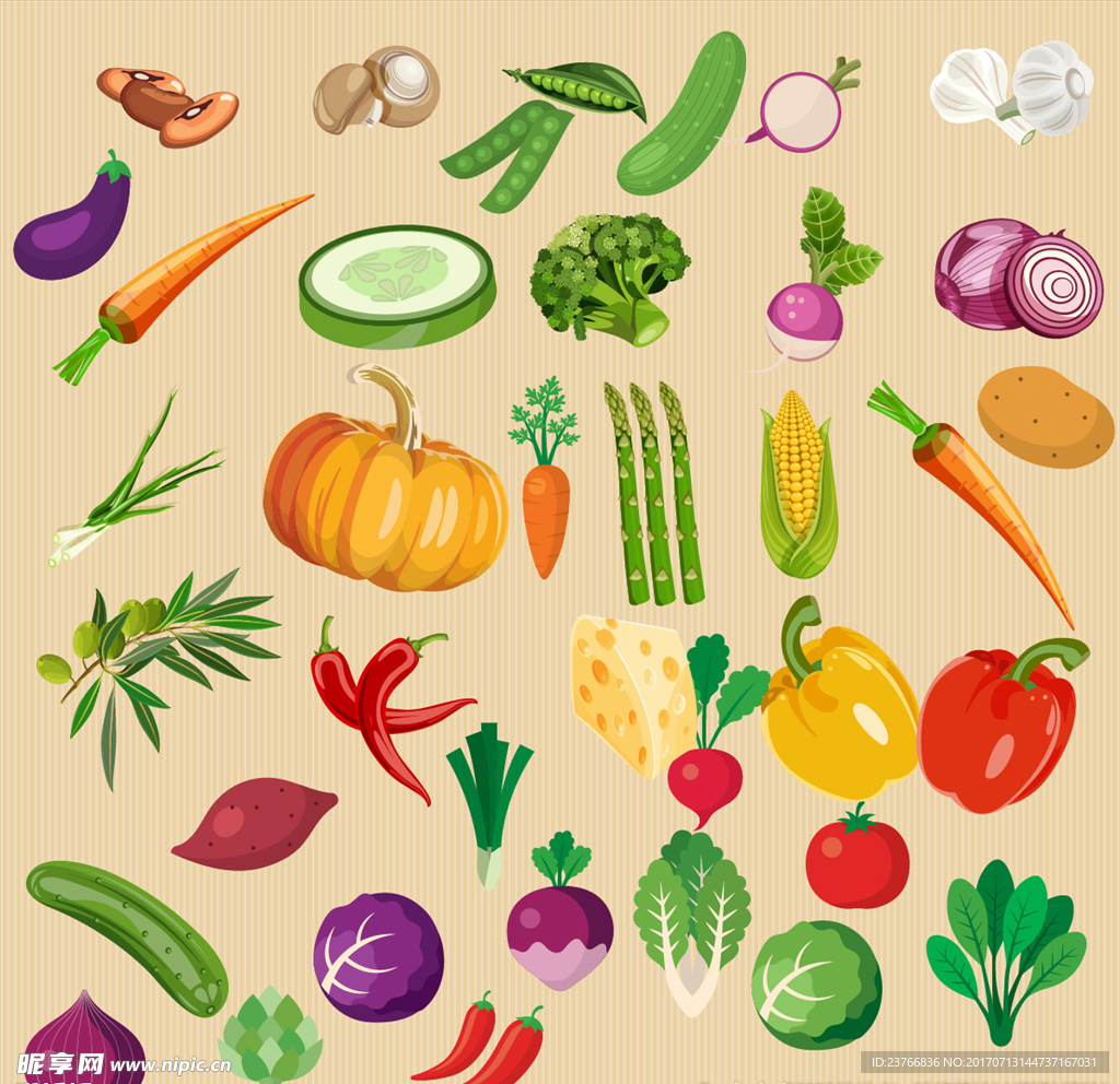 各种蔬菜图片素材