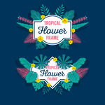 flower花纹