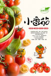 小番茄