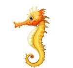 卡通海马