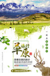 草原旅游