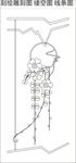 缕空雕刻图 缕空线条画 缕空图