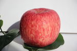 红富士 红苹果