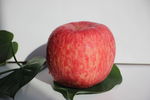 红苹果 红富士