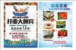 海鲜传单