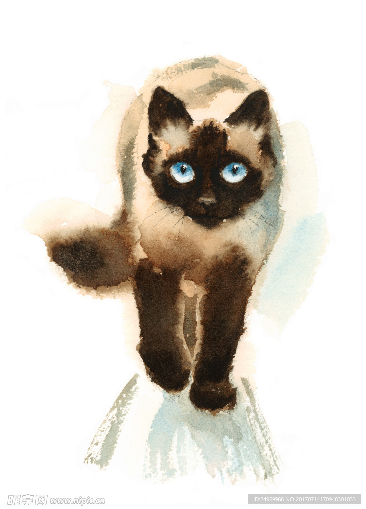 水彩猫
