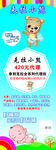 克拉小熊纸尿裤展架