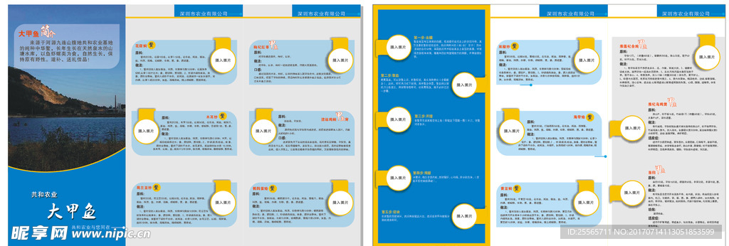 时尚 简洁  甲鱼 三折页