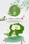 清新小暑海报
