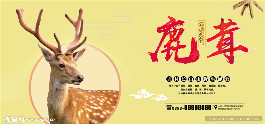鹿茸