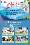 度假村旅游海报宣传单